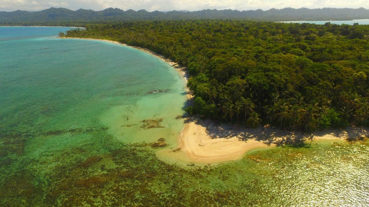 Lilan Nature, Modern House N°1, Private Swimming Pool. Cahuita Dış mekan fotoğraf